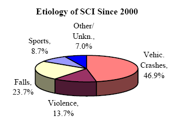 Etiology of SCI Since 2000 Chart